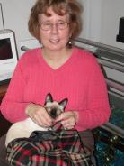 more kittens
